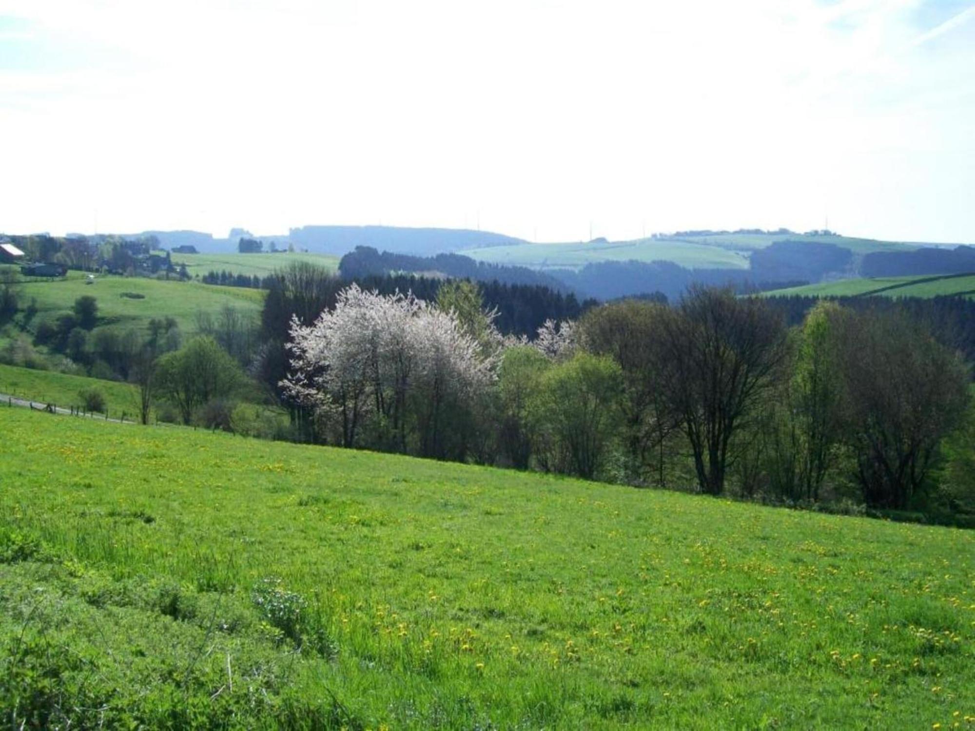 Holiday Home With Garden In Hellenthal Eifel מראה חיצוני תמונה