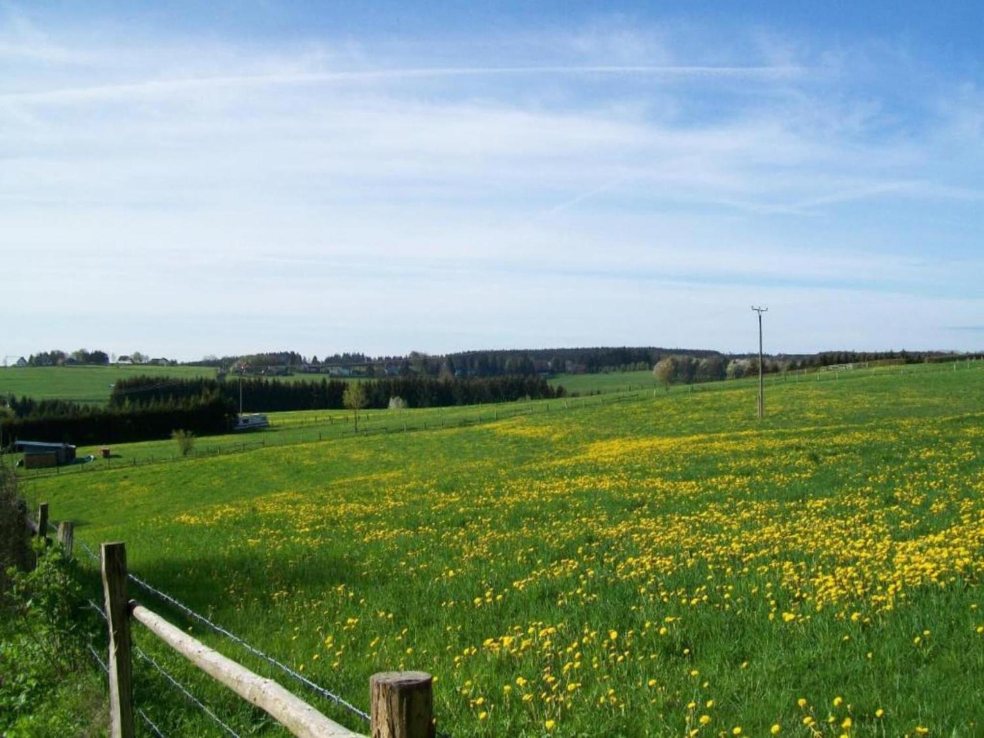 Holiday Home With Garden In Hellenthal Eifel מראה חיצוני תמונה